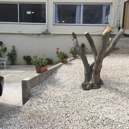 Ellenapa Apts & Studios Айя Напа Екстериор снимка